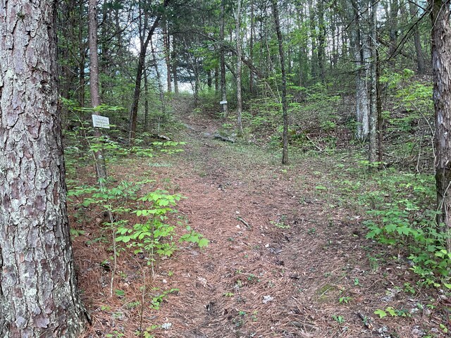 2324 Johnsons Ridge Rd, Sneedville, TN 37869 - photo 42