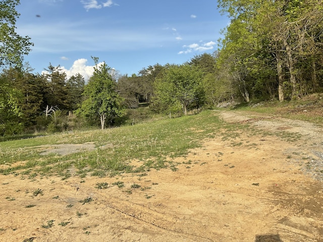 2324 Johnsons Ridge Rd, Sneedville, TN 37869 - photo 47