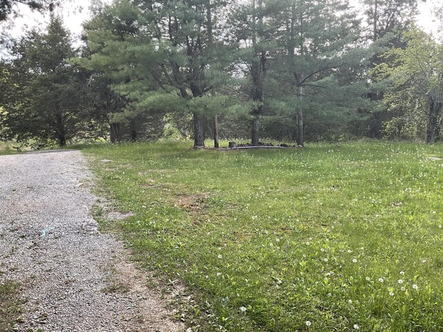 2324 Johnsons Ridge Rd, Sneedville, TN 37869 - photo 36