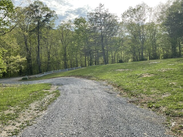 2324 Johnsons Ridge Rd, Sneedville, TN 37869 - photo 46