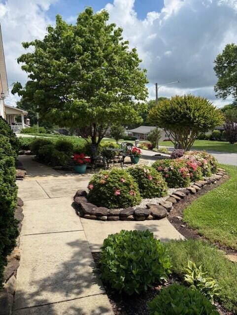 2657 Lakemoore Dr, Morristown, TN 37814 - view of yard