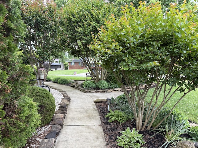 2657 Lakemoore Dr, Morristown, TN 37814 - view of home's community featuring a lawn
