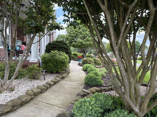 2657 Lakemoore Dr, Morristown, TN 37814 - view of property's community