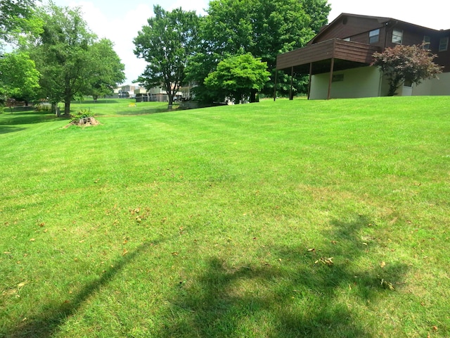 453 Carroll Rd, Morristown, TN 37813 - photo 7