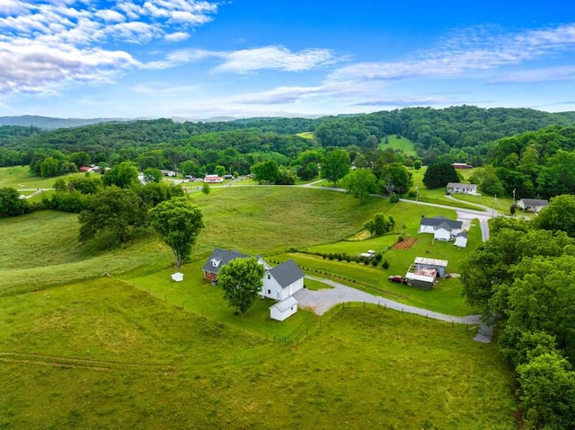 993 Lakeshore Rd Rd, Talbott, TN 37877 - photo 37
