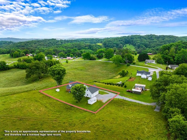 993 Lakeshore Rd Rd, Talbott, TN 37877 - photo 7