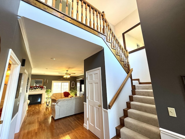 stairs with ceiling fan, crown molding, a fireplace, and wood-type flooring