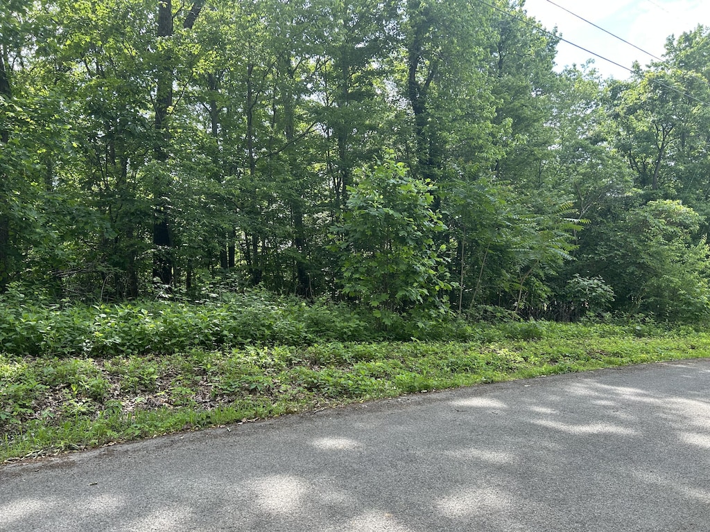 LOT9 Clint Williams Rd, Rutledge, TN 37861