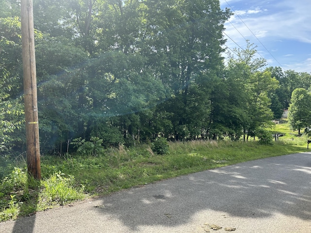 LOT9 Clint Williams Rd, Rutledge, TN 37861