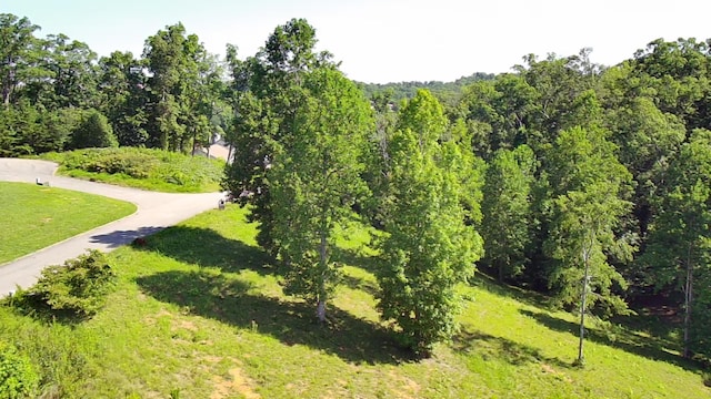 Listing photo 3 for LOT12 Cypress Dr, Dandridge TN 37725