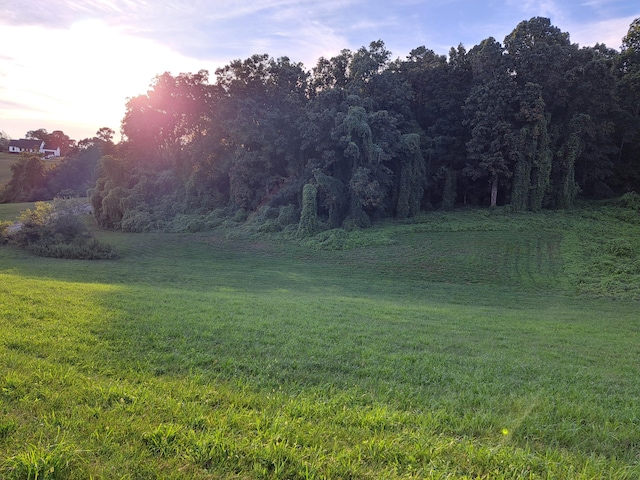 LOT56 Cow Poke Ln, Rutledge, TN 37861 - photo 4