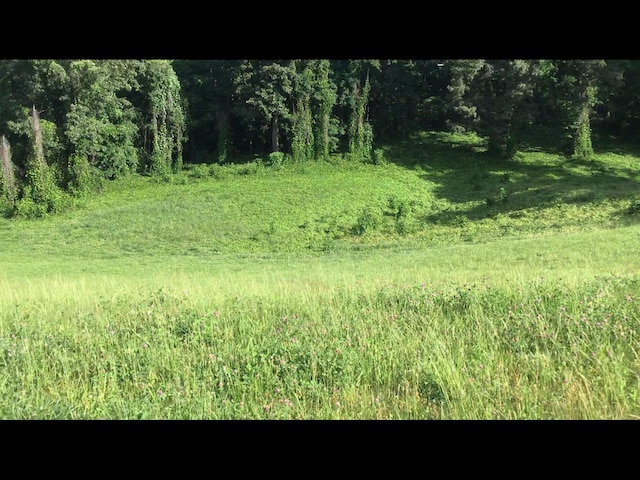 LOT56 Cow Poke Ln, Rutledge, TN 37861 - photo 1