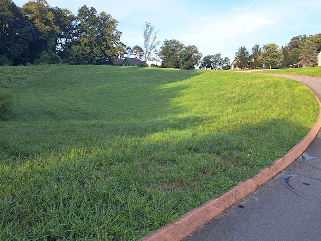 LOT56 Cow Poke Ln, Rutledge, TN 37861 - photo 7