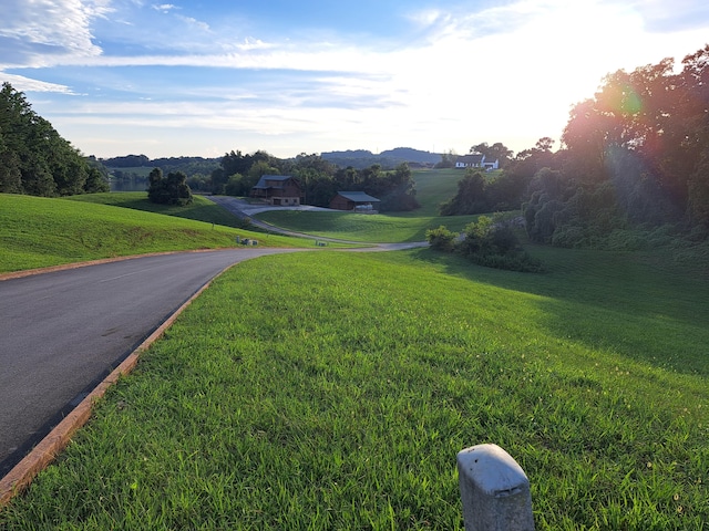 LOT56 Cow Poke Ln, Rutledge, TN 37861 - photo 5