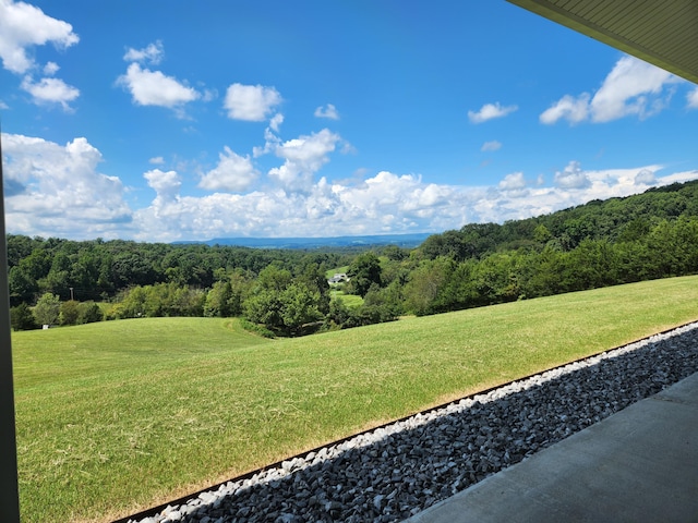 view of yard with a forest view