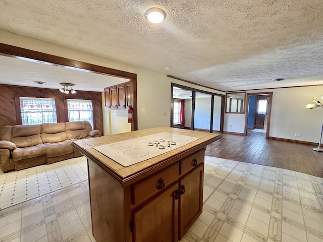 4140 Chavis Rd, Cosby, TN 37722 - kitchen with open floor plan, white electric cooktop, plenty of natural light, a textured ceiling, and light flooring