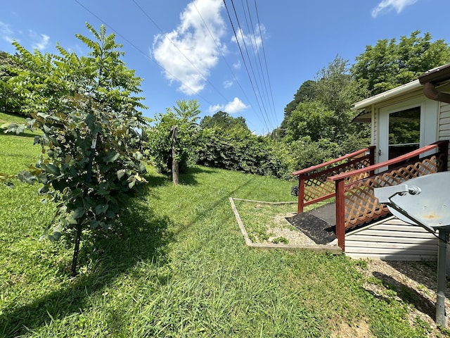 4140 Chavis Rd, Cosby, TN 37722 - view of grassy yard