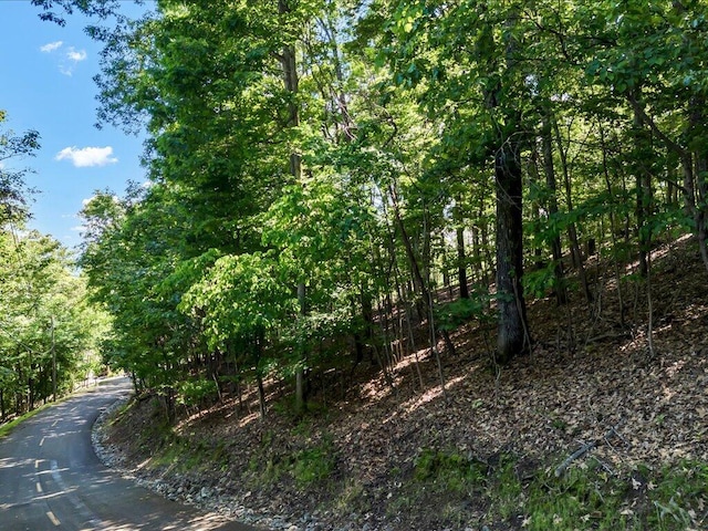 Listing photo 3 for 1202 Keetoowah Dr, Mooresburg TN 37811