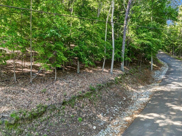 1202 Keetoowah Dr, Mooresburg TN, 37811 land for sale