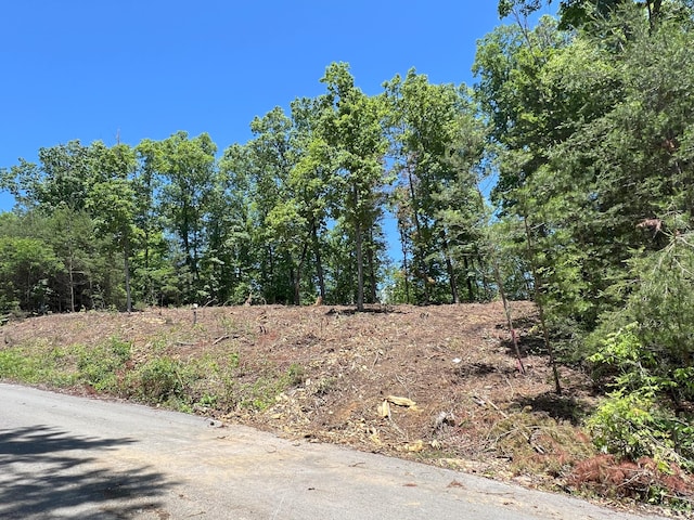 LOT45 Bayside Blvd, Bean Station, TN 37708 - photo 2