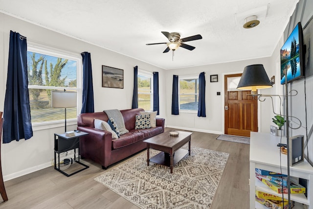 living room featuring ceiling fan, light hardwood / wood-style floors, and a textured ceiling