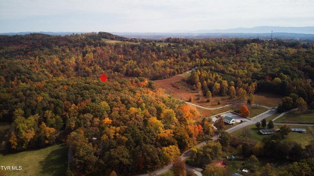 aerial view with a mountain view