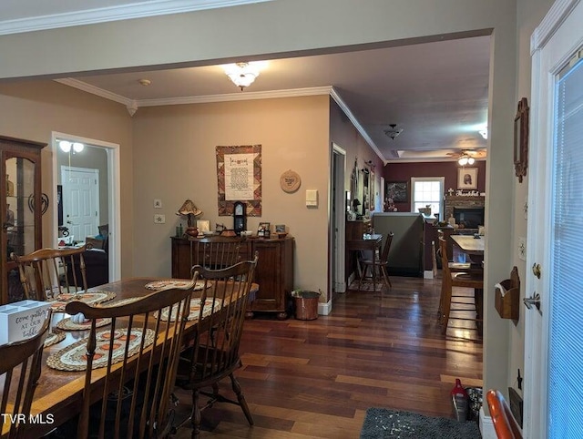 dining area featuring ceiling fan, dark wood-type flooring, and ornamental molding