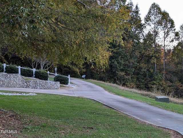 view of home's community with a lawn