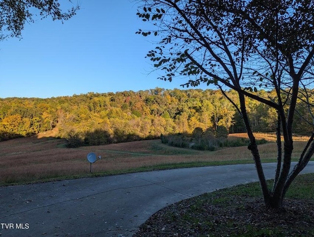 view of road