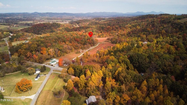 bird's eye view with a mountain view