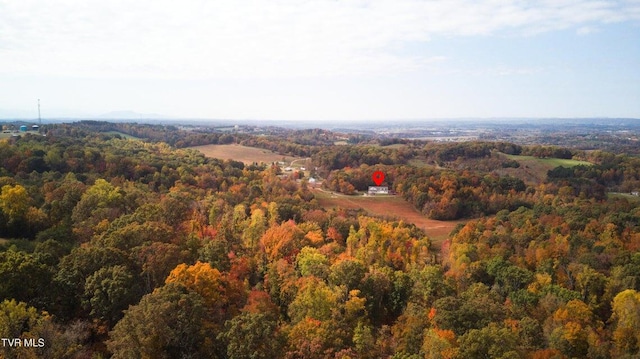 bird's eye view