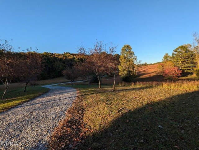 view of road with a rural view