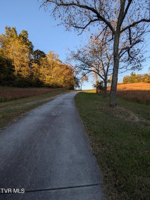 view of road