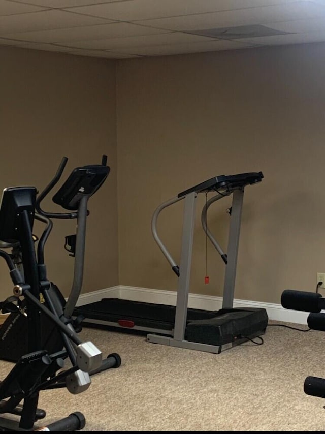 exercise room with carpet flooring and a paneled ceiling