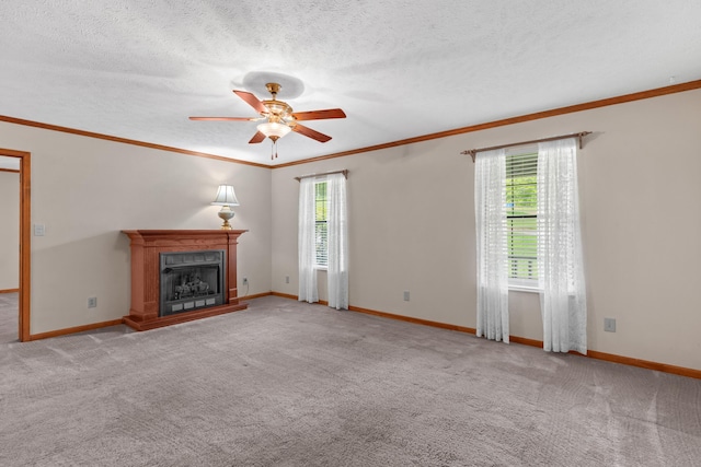 1115 Millrace Rd, Morristown, TN 37814 - photo 5