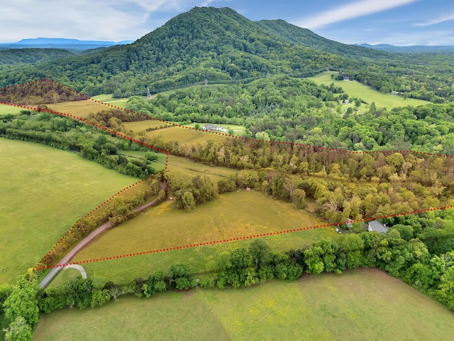 6525 Idumea Rd, Corryton, TN 37721 - overview of rural landscape featuring a forest and mountains