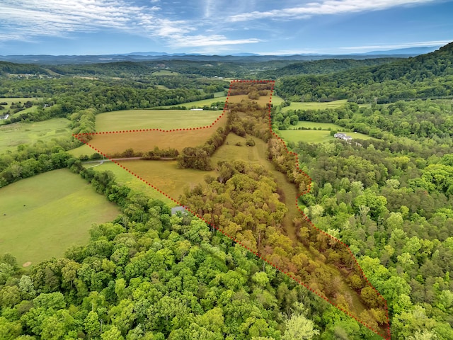 6525 Idumea Rd, Corryton, TN 37721 - drone / aerial view of a heavily wooded area and a mountain backdrop