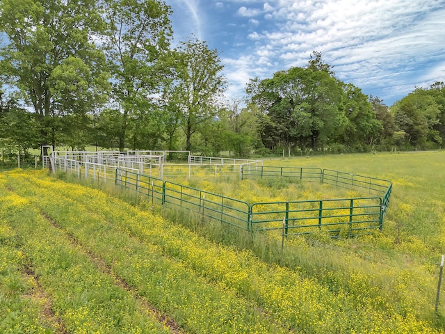 6525 Idumea Rd, Corryton, TN 37721 - view of yard featuring a view of rural / pastoral area and fence