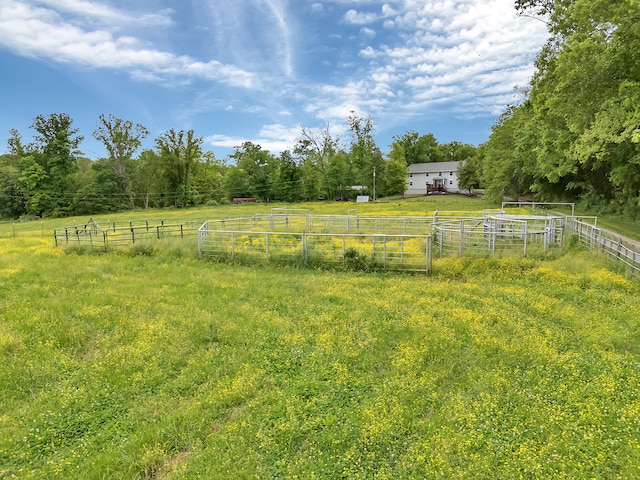 6525 Idumea Rd, Corryton, TN 37721 - view of yard featuring fence and a rural view