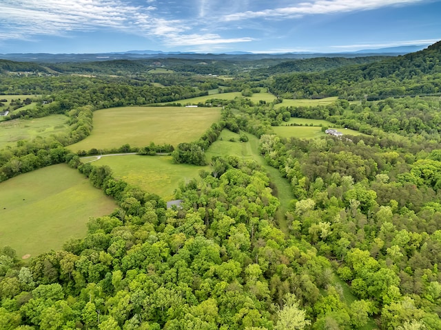 6525 Idumea Rd, Corryton, TN 37721 - aerial view of a mountainous background and a forest