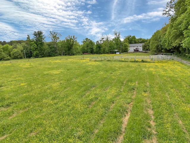 6525 Idumea Rd, Corryton, TN 37721 - view of yard with a view of rural / pastoral area and fence