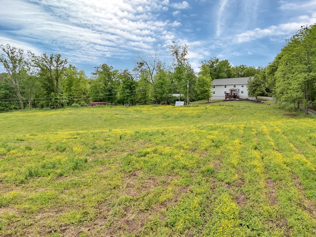 6525 Idumea Rd, Corryton, TN 37721 - view of grassy yard