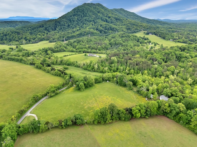 6525 Idumea Rd, Corryton, TN 37721 - aerial view of a mountain backdrop and a heavily wooded area