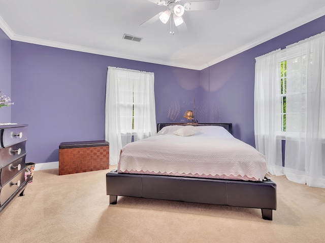 6525 Idumea Rd, Corryton, TN 37721 - carpeted bedroom with multiple windows, crown molding, ceiling fan, and baseboards