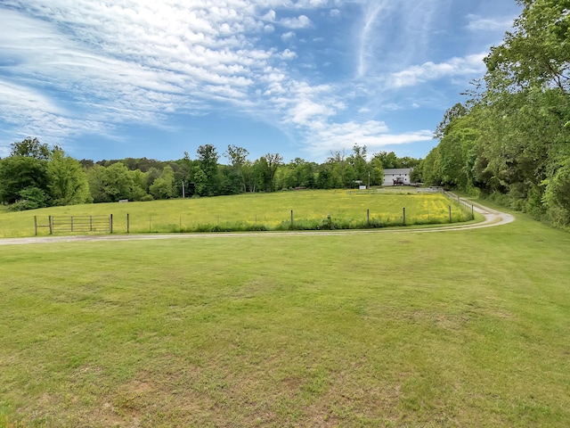 6525 Idumea Rd, Corryton, TN 37721 - view of yard with a view of rural / pastoral area