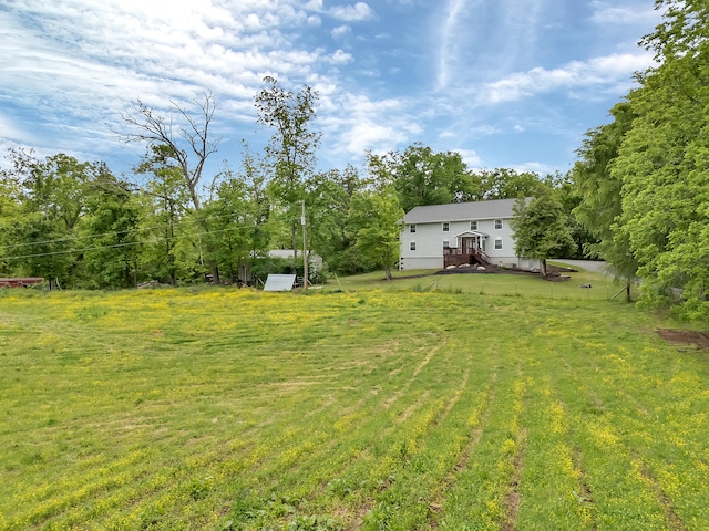 6525 Idumea Rd, Corryton, TN 37721 - view of grassy yard