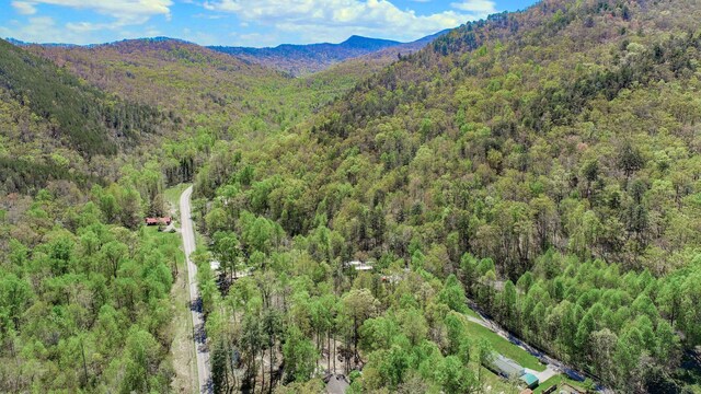 1776 Bullard Dr, Newport, TN 37821
