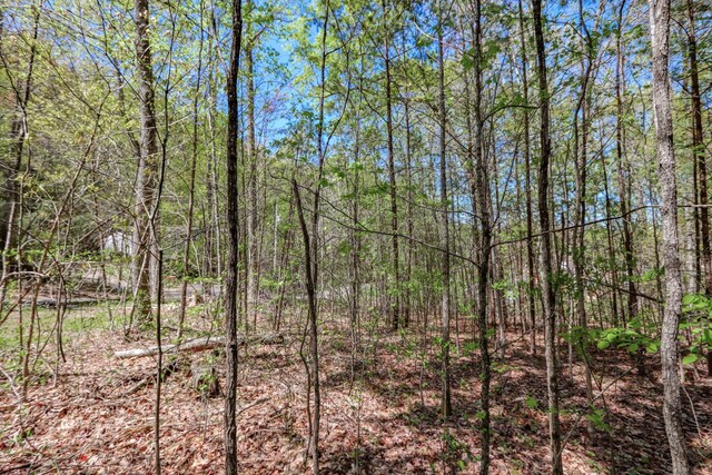 1776 Bullard Dr, Newport, TN 37821