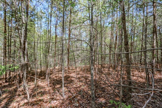 1776 Bullard Dr, Newport, TN 37821