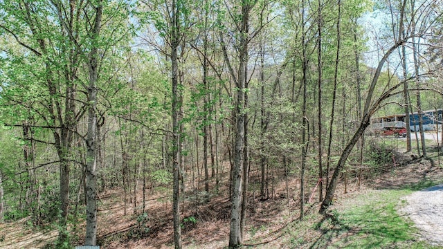 1776 Bullard Dr, Newport, TN 37821